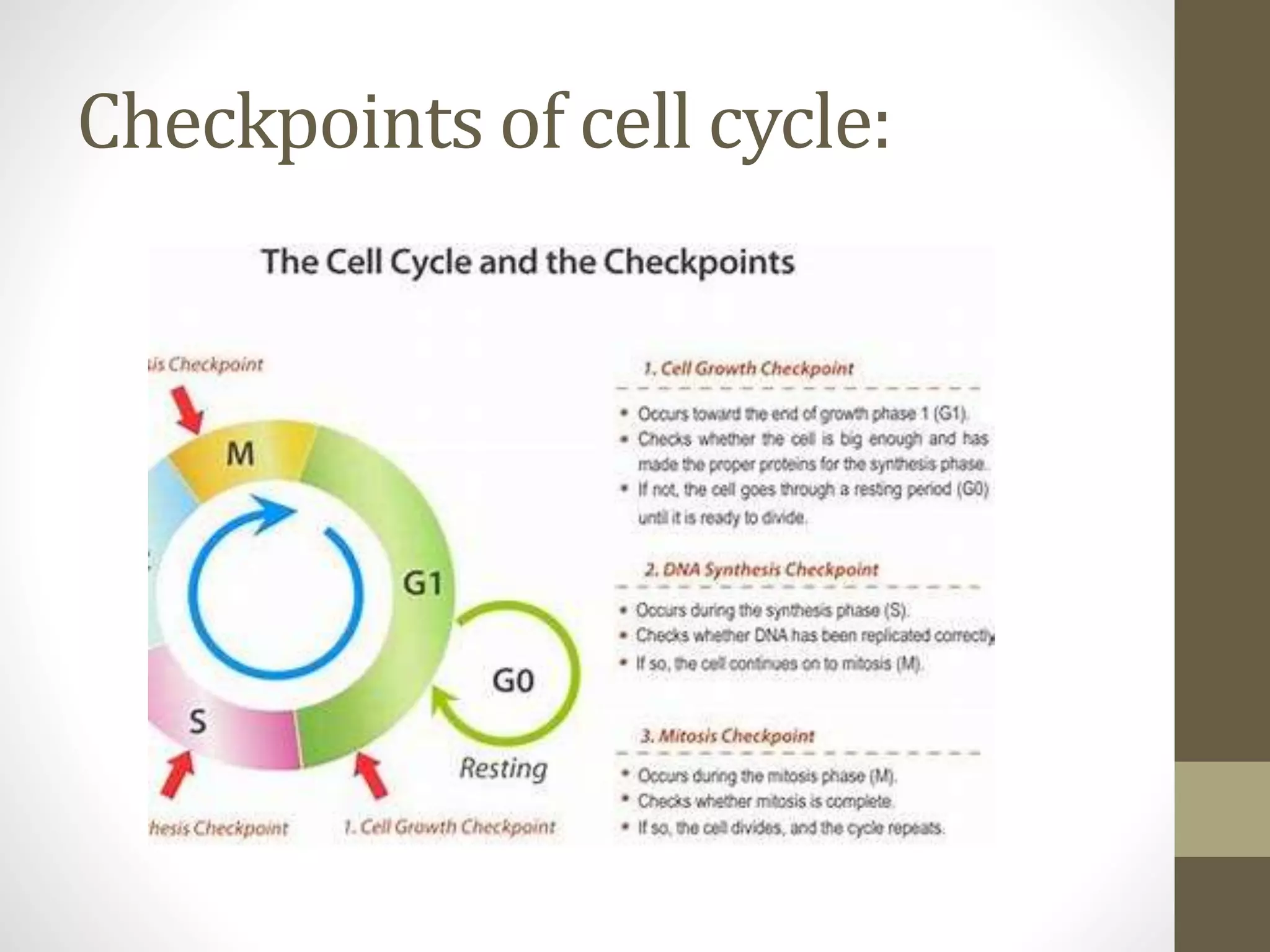 Cyclin dependent kinases | PPTX