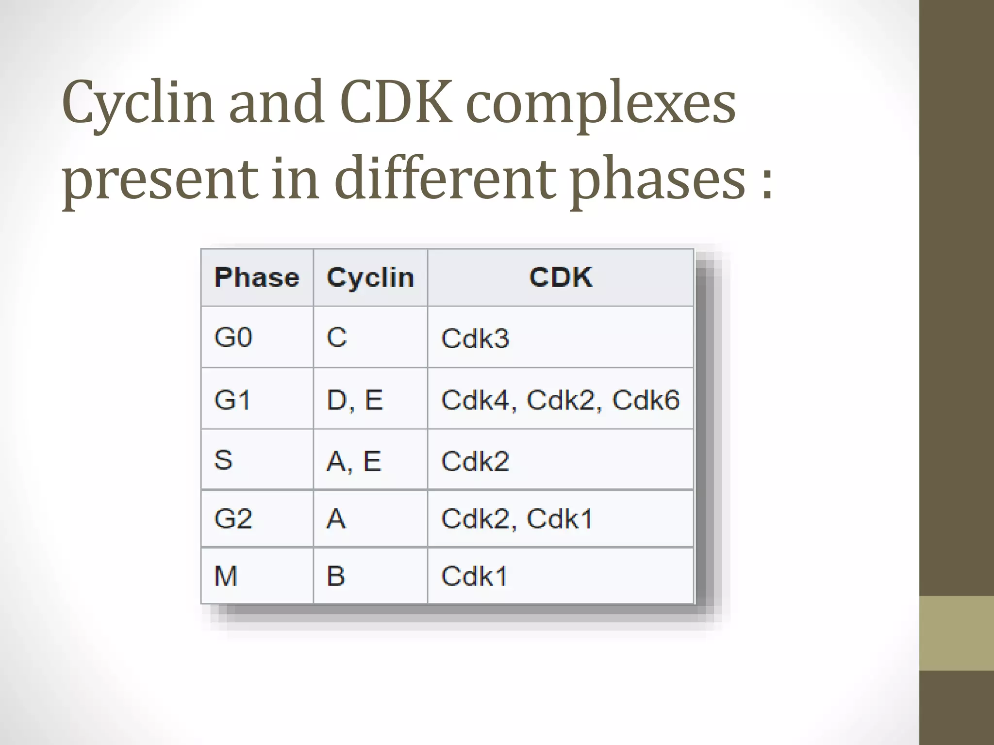 Cyclin dependent kinases | PPTX