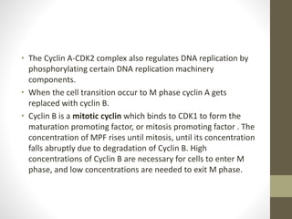 Cyclin dependent kinases | PPTX