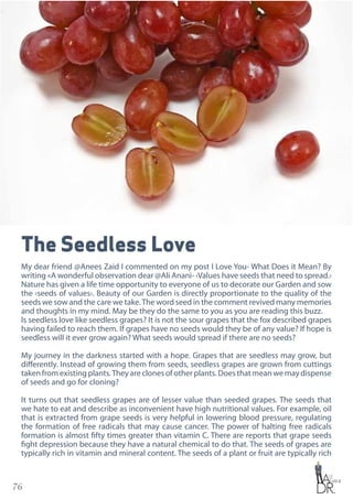 76
The Seedless Love
My dear friend @Anees Zaid I commented on my post I Love You- What Does it Mean? By
writing «A wonderful observation dear @Ali Anani- ‹Values have seeds that need to spread.›
Nature has given a life time opportunity to everyone of us to decorate our Garden and sow
the ‹seeds of values›. Beauty of our Garden is directly proportionate to the quality of the
seeds we sow and the care we take.The word seed in the comment revived many memories
and thoughts in my mind. May be they do the same to you as you are reading this buzz.
Is seedless love like seedless grapes? It is not the sour grapes that the fox described grapes
having failed to reach them. If grapes have no seeds would they be of any value? If hope is
seedless will it ever grow again? What seeds would spread if there are no seeds?
My journey in the darkness started with a hope. Grapes that are seedless may grow, but
differently. Instead of growing them from seeds, seedless grapes are grown from cuttings
taken from existing plants.They are clones of other plants. Does that mean we may dispense
of seeds and go for cloning?
It turns out that seedless grapes are of lesser value than seeded grapes. The seeds that
we hate to eat and describe as inconvenient have high nutritional values. For example, oil
that is extracted from grape seeds is very helpful in lowering blood pressure, regulating
the formation of free radicals that may cause cancer. The power of halting free radicals
formation is almost fifty times greater than vitamin C. There are reports that grape seeds
fight depression because they have a natural chemical to do that. The seeds of grapes are
typically rich in vitamin and mineral content. The seeds of a plant or fruit are typically rich
 