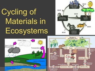 Cycling of Materials in Ecosystems 