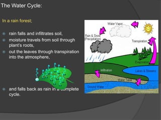Cycling of materials in ecosystem | PPT