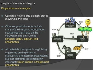 Cycling of materials in ecosystem | PPT