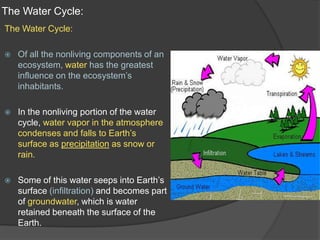 Cycling of materials in ecosystem | PPT