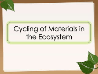 Cycling of Materials in
the Ecosystem

 