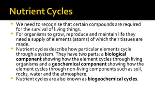 Cycling of matter | PPT