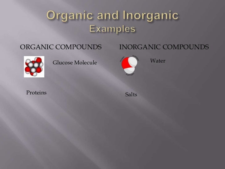 Cycling Of Organic And Inorganic Matter