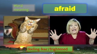Word
meaning: afraid
feeling fear/frightened
 