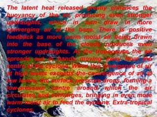 The latent heat released greatly enhances the
buoyancy of the air, producing even stronger
updraughts, which in turn draw in more
converging air at the base. There is positive
feedback as more warm moist air being drawn
into the base of the clouds produces even
stronger updraughts. At the tropopause the air
spreads out in bands moving away from the
centre of the cyclone. When this divergence of air
at high levels exceeds the convergence of air at
low levels, the surface pressure drops, forming a
low-pressure centre around which the air
circulates and converges, bringing in even more
warm moist air to feed the cyclone. Extra-tropical
cyclones.
 