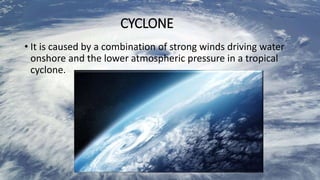 Cyclones | PPTX