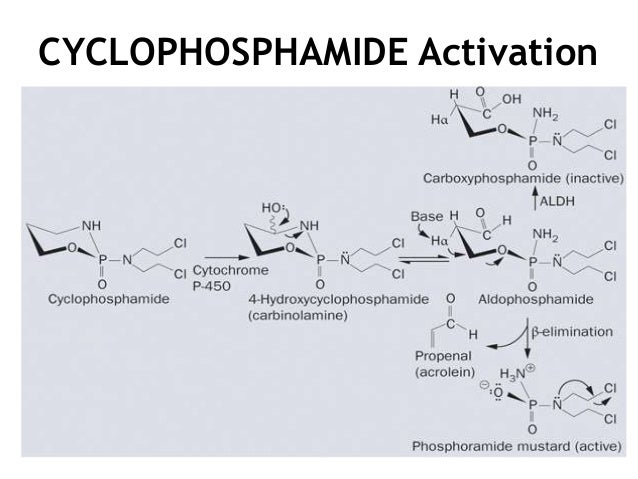 Cyclophosphamide Cytoxan