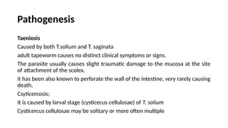 Pathogenesis
Taeniosis
Caused by both T.solium and T. saginata
adult tapeworm causes no distinct clinical symptoms or signs.
The parasite usually causes slight traumatic damage to the mucosa at the site
of attachment of the scolex.
it has been also known to perforate the wall of the intestine, very rarely causing
death.
Csyticercosis;
It is caused by larval stage (cysticecus cellulosae) of T. solium
Cysticercus cellulosae may be solitary or more often multiple
 