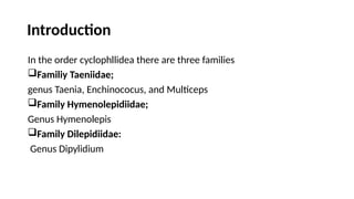 Introduction
In the order cyclophllidea there are three families
Familiy Taeniidae;
genus Taenia, Enchinococus, and Multiceps
Family Hymenolepidiidae;
Genus Hymenolepis
Family Dilepidiidae:
Genus Dipylidium
 