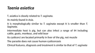 Taenia asiatica
T. asiatica is closely related to T. saginata.
Its mainly found in Asia.
It is morphologically similar to T. saginata except It is smaller than T.
Saginata.
Intermediate host is pig, but can also infect a range of IH including
cattle, goats, monkeys, and wild boar
Its cysticerci are located primarily in liver of the pig, not muscle
The parasite does not cause human cysticercosis
Clinical features, diagnosis and treatment is similar to that of T. saginata
 