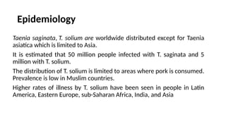 Epidemiology
Taenia saginata, T. solium are worldwide distributed except for Taenia
asiatica which is limited to Asia.
It is estimated that 50 million people infected with T. saginata and 5
million with T. solium.
The distribution of T. solium is limited to areas where pork is consumed.
Prevalence is low in Muslim countries.
Higher rates of illness by T. solium have been seen in people in Latin
America, Eastern Europe, sub-Saharan Africa, India, and Asia
 