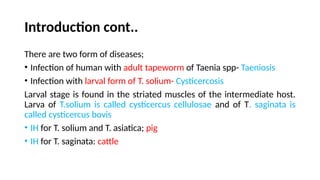 Introduction cont..
There are two form of diseases;
• Infection of human with adult tapeworm of Taenia spp- Taeniosis
• Infection with larval form of T. solium- Cysticercosis
Larval stage is found in the striated muscles of the intermediate host.
Larva of T.solium is called cysticercus cellulosae and of T. saginata is
called cysticercus bovis
• IH for T. solium and T. asiatica; pig
• IH for T. saginata: cattle
 