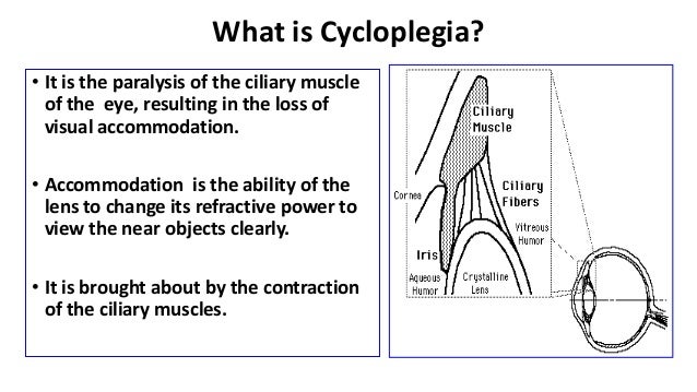 Cycloplegic agents & cyclorefraction