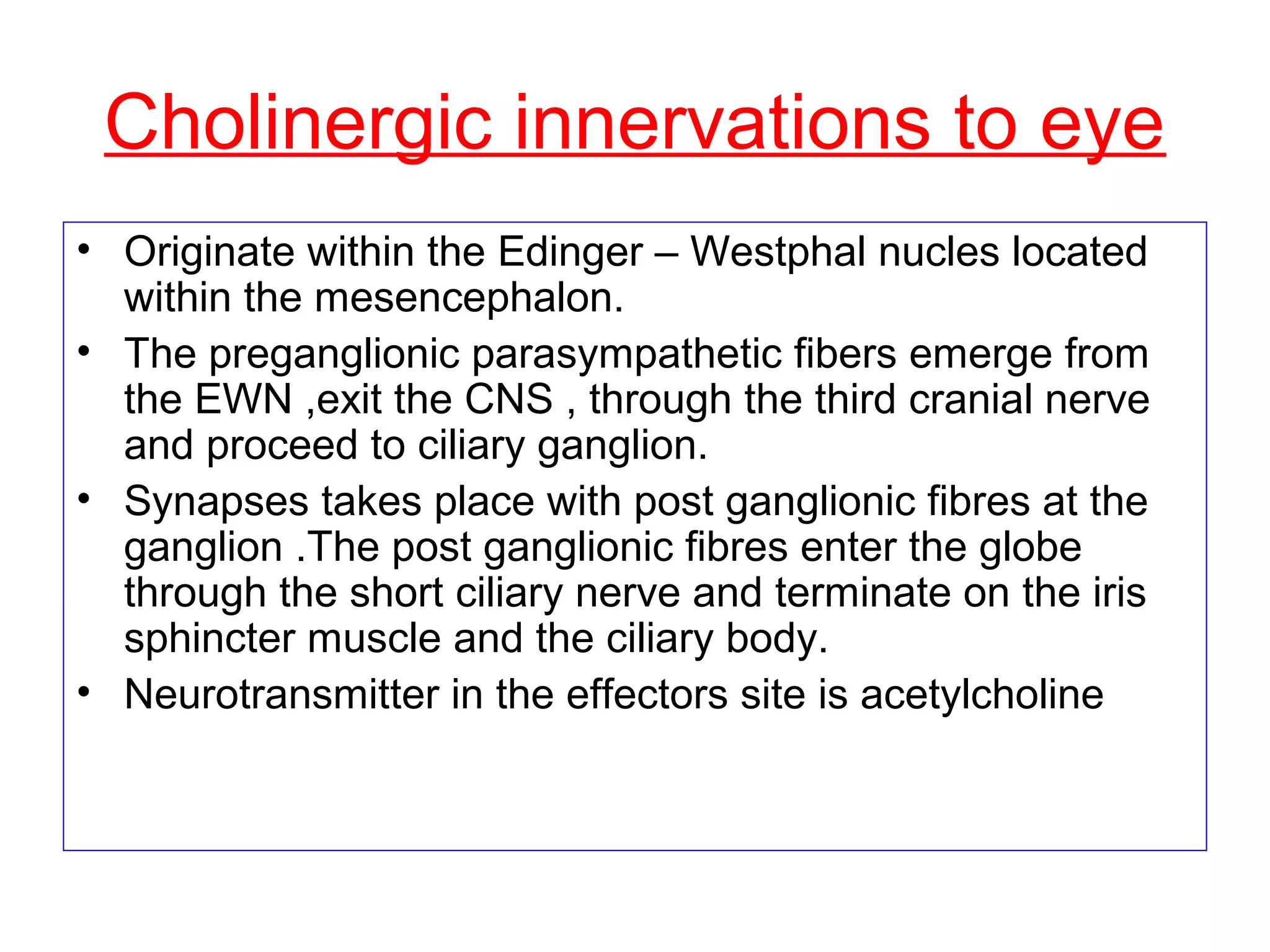 Cholinergic innervations to eye
• Originate within the Edinger – Westphal nucles located
within the mesencephalon.
• The preganglionic parasympathetic fibers emerge from
the EWN ,exit the CNS , through the third cranial nerve
and proceed to ciliary ganglion.
• Synapses takes place with post ganglionic fibres at the
ganglion .The post ganglionic fibres enter the globe
through the short ciliary nerve and terminate on the iris
sphincter muscle and the ciliary body.
• Neurotransmitter in the effectors site is acetylcholine
 