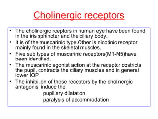 Cholinergic receptors
• The cholinergic rceptors in human eye have been found
in the iris sphincter and the ciliary body.
• It is of the muscarinic type.Other is nicotinic receptor
mainly found in the skeletal muscles.
• Five sub types of muscarinic receptors(M1-M5)have
been identified.
• The muscarinic agonist action at the receptor costricts
the pupil, contracts the ciliary muscles and in general
lower IOP.
• The inhibition of these receptors by the cholinergic
antagonist induce the
pupillary dilatation
paralysis of accommodation
 
