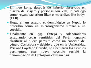  En 1990 Long, después de haberlo observado en
  diarrea del viajero y personas con VIH, lo catalogó
  como «cyanobacterium-like» o «coccidian-like body»
  (CLB).
 Hoge, en un estudio epidemiológico en Nepal, lo
  describió como un microorganismo similar a un
  coccidio.
 Finalmente en l993, Ortega y colaboradores
  estudiando cepas remitidas del Perú, lograron
  clasificar al nuevo parásito como un coccidio del
  género Cyclospora y debido a que en la Universidad
  Peruana Cayetano Heredia, se efectuaron los estudios
  pertinentes, este nuevo coccidio recibió la
  denominación de Cyclospora cayetanensis.
 
