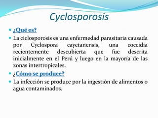 Cyclosporosis
 ¿Qué es?
 La ciclosporosis es una enfermedad parasitaria causada
  por     Cyclospora     cayetanensis,    una     coccidia
  recientemente descubierta que fue descrita
  inicialmente en el Perú y luego en la mayoría de las
  zonas intertropicales.
 ¿Cómo se produce?
 La infección se produce por la ingestión de alimentos o
  agua contaminados.
 