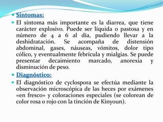  Síntomas:
 El síntoma más importante es la diarrea, que tiene
  carácter explosivo. Puede ser líquida o pastosa y en
  número de 4 a 6 al día, pudiendo llevar a la
  deshidratación. Se acompaña de distensión
  abdominal, gases, náuseas, vómitos, dolor tipo
  cólico, y eventualmente febrícula y mialgias. Se puede
  presentar decaimiento marcado, anorexia y
  disminución de peso.
 Diagnóstico:
 El diagnóstico de cyclospora se efectúa mediante la
  observación microscópica de las heces por exámenes
  «en fresco» y coloraciones especiales (se colorean de
  color rosa o rojo con la tinción de Kinyoun).
 