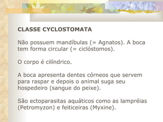 CLASSE CYCLOSTOMATA Não possuem mandíbulas (= Agnatos). A boca tem forma circular (= ciclóstomos).  O corpo é cilíndrico.  A boca apresenta dentes córneos que servem para raspar e depois o animal suga seu hospedeiro (sangue do peixe).  São ectoparasitas aquáticos como as lampréias (Petromyzon) e feiticeiras (Myxine).  