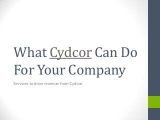 What Cydcor Can Do
For Your Company
Services to drive revenue from Cydcor.

 