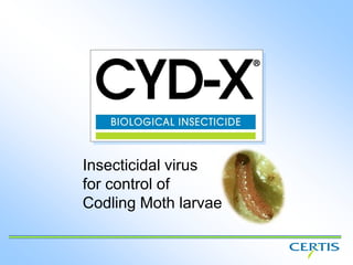 Insecticidal virus
for control of
Codling Moth larvae
 