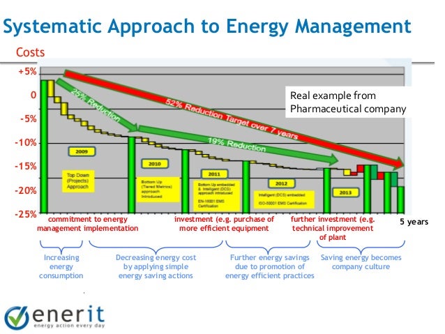 Investment in a ngl plant approach real options