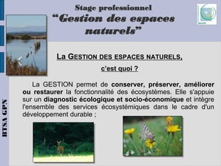 Presentation btsa gpn_de_mondy_2020