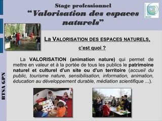 Presentation btsa gpn_de_mondy_2020