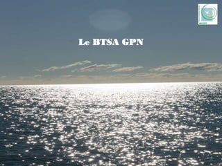 Presentation btsa gpn_de_mondy_2020