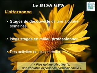 Presentation btsa gpn_de_mondy_2020