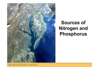 Sources of
Nitrogen and
Nit        d
Phosphorus
 
