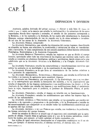 Capítulo 01. definición y división