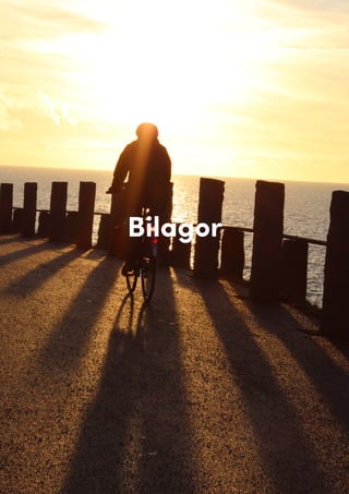 BilagorBilagor
Bilagor
 