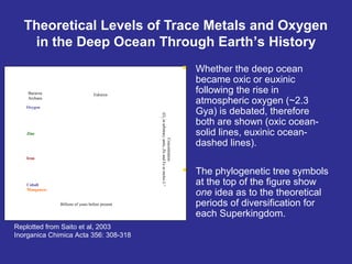  Whether the deep ocean
became oxic or euxinic
following the rise in
atmospheric oxygen (~2.3
Gya) is debated, therefore
both are shown (oxic ocean-
solid lines, euxinic ocean-
dashed lines).
 The phylogenetic tree symbols
at the top of the figure show
one idea as to the theoretical
periods of diversification for
each Superkingdom.
Billions of years before present
Concentration
(O2inarbitraryunits,ZnandFeinmolesL-1
Bacteria
Archaea
Eukarya
Oxygen
Zinc
Iron
Cobalt
Manganese
Theoretical Levels of Trace Metals and Oxygen
in the Deep Ocean Through Earth’s History
Replotted from Saito et al, 2003
Inorganica Chimica Acta 356: 308-318
 