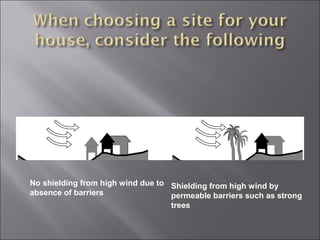 No shielding from high wind due to
absence of barriers
Shielding from high wind by
permeable barriers such as strong
trees
 