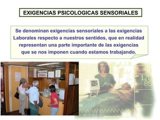 EXIGENCIAS PSICOLOGICAS SENSORIALES Se denominan exigencias sensoriales a las exigencias  Laborales respecto a nuestros sentidos, que en realidad  representan una parte importante de las exigencias  que se nos imponen cuando estamos trabajando.   