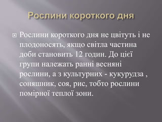  Рослини короткого дня не цвітуть і не
плодоносять, якщо світла частина
доби становить 12 годин. До цієї
групи належать ранні весняні
рослини, а з культурних - кукурудза ,
соняшник, соя, рис, тобто рослини
помірної теплої зони.
 