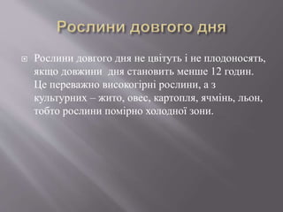  Рослини довгого дня не цвітуть і не плодоносять,
якщо довжини дня становить менше 12 годин.
Це переважно високогірні рослини, а з
культурних – жито, овес, картопля, ячмінь, льон,
тобто рослини помірно холодної зони.
 