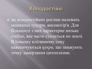  до холодостійких рослин належать
мешканці тундри, високогір'я. Для
більшості з них характерне низьке
стебло, яке часто стелиться по землі.
В їхньому клітинному соку
накопичуються цукри, що знижують
точку замерзання цитоплазми.
 