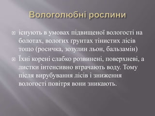  існують в умовах підвищеної вологості на
болотах, вологих ґрунтах тінистих лісів
тощо (росичка, зозулин льон, бальзамін)
 Їхні корені слабко розвинені, поверхневі, а
листки інтенсивно втрачають воду. Тому
після вирубування лісів і зниження
вологості повітря вони зникають.
 