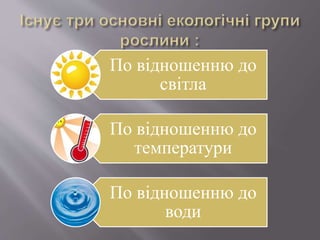 По відношенню до
світла
По відношенню до
температури
По відношенню до
води
 
