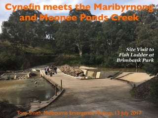 Cyneﬁn meets the Maribyrnong
and Moonee Ponds Creek
Tony Smith, Melbourne Emergence Meetup, 13 July 2017
Site Visit to
Fish Ladder at
Brimbank Park
 