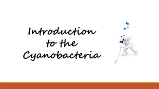 Introduction
to the
Cyanobacteria
 