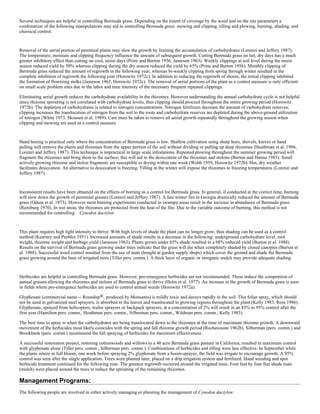 Several techniques are helpful in controlling Bermuda grass. Depending on the extent of coverage by the weed and on the site parameters a
combination of the following manipulations may aid in controlling Bermuda grass: mowing and clipping, tilling and plowing, burning, shading, and
chemical control.
MOWING AND CLIPPING:
Removal of the aerial portion of perennial plants may slow the growth by limiting the accumulation of carbohydrates (Lorenzi and Jeffery 1987).
The temperature, moisture and clipping frequency influence the amount of subsequent growth. Cutting Bermuda grass on hot, dry days has a much
greater inhibitory effect than cutting on cool, moist days (Prine and Burton 1956, Jameson 1963). Weekly clippings at soil level during the moist
season reduced yield by 50% whereas clipping during the dry season reduced the yield by 65% (Prine and Burton 1956). Monthly clipping of
Bermuda grass reduced the amount of regrowth in the following year, whereas bi-weekly clipping from spring through winter resulted in the
complete inhibition of regrowth the following year (Horowitz 1972c). In addition to reducing the regrowth of shoots, the initial clipping inhibited
the formation of flowering stalks (Jameson 1963, Horowitz 1972c). The removal of aerial portions of the plant as a control measure is only efficient
on small scale problem sites due to the labor and time intensity of the necessary frequent repeated clippings.

Eliminating aerial growth reduces the carbohydrate availability in the rhizomes. However understanding the annual carbohydrate cycle is not helpful
since rhizome sprouting is not correlated with carbohydrate levels, thus clipping should proceed throughout the entire growing period (Horowitz
1972b). The depletion of carbohydrates is related to nitrogen concentrations. Nitrogen fertilizers decrease the amount of carbohydrate reserves;
clipping increases the translocation of nitrogen from the soil to the roots and carbohydrate reserves are depleted during the above-ground utilization
of nitrogen (White 1973, Skousen et al. 1989). Care must be taken to remove all aerial growth repeatedly throughout the growing season when
clipping and mowing are used as a control measure.
TILLING AND PLOWING:
Hand hoeing is practical only where the concentration of Bermuda grass is low. Shallow cultivation using sharp hoes, shovels, knives or hand
pulling will remove the plants and rhizomes from the upper portion of the soil without dividing or pulling up deep rhizomes (Heathman et al. 1986,
Lorenzi and Jeffery 1987). This technique is impractical in large scale infestations. Repeated plowing throughout the summer growing period will
fragment the rhizomes and bring them to the surface; this will aid in the desiccation of the rhizomes and stolons (Burton and Hanna 1985). Small
actively growing rhizome and stolon fragments are susceptible to drying within one week (Webb 1959, Horowitz 1972b). Hot, dry weather
facilitates desiccation. An alternative to desiccation is freezing. Tilling in the winter will expose the rhizomes to freezing temperatures (Lorenzi and
Jeffery 1987).
BURNING:
Inconsistent results have been obtained on the effects of burning as a control for Bermuda grass. In general, if conducted at the correct time, burning
will slow down the growth of perennial grasses (Lorenzi and Jeffery 1987). A late winter fire in Georgia drastically reduced the amount of Bermuda
grass (Odum et al. 1973). However most burning experiments conducted in swampy areas result in the increase in abundance of Bermuda grass
(Rensburg 1970). In wet areas, the rhizomes are protected from the heat of the fire. Due to the variable outcome of burning, this method is not
recommended for controlling Cynodon dactylon.
SHADING:
This plant requires high light intensity to thrive. With high levels of shade the plant can no longer grow; thus shading can be used as a control
method (Kearney and Peebles 1951). Increased amounts of shade results in a decrease in the following: underground carbohydrate level, root
weight, rhizome weight and herbage yield (Jameson 1963). Plants grown under 65% shade resulted in a 68% reduced yield (Burton et al. 1988).
Results on the survival of Bermuda grass growing under trees indicate that the grass will die when completely shaded by closed canopies (Burton et
al. 1988). Successful weed control resulted from the use of mats (bought at garden supply shops) which cover the ground and shade the Bermuda
grass growing around the base of irrigated trees (Tiller pers. comm.). A thick layer of organic or inorganic mulch may provide adequate shading.
CHEMICAL CONTROL:
Herbicides are helpful in controlling Bermuda grass. However, pre-emergence herbicides are not recommended. These reduce the competition of
annual grasses allowing the rhizomes and stolons of Bermuda grass to thrive (Holm et al. 1977). An increase in the growth of Bermuda grass is seen
in fields where pre-emergence herbicides are used to control annual weeds (Horowitz 1972a).

Glyphosate (commercial name -- Roundup®, produced by Monsanto) is mildly toxic and decays rapidly in the soil. This foliar spray, which should
not be used in galvanized steel sprayers, is absorbed in the leaves and translocated to growing regions throughout the plant (Kelly 1983, Ross 1986).
Glyphosate, sprayed from helicopters, trailer sprayers or backpack sprayers, at a concentration of 2% will result in an 85% to 95% control after the
first year (Hamilton pers. comm., Heathman pers. comm., Silberman pers. comm., Wildman pers. comm., Kelly 1983).

The best time to spray is when the carbohydrates are being translocated down to the rhizomes at the time of maximum rhizome growth. A downward
movement of the herbicides most likely coincides with the spring and fall rhizome growth period (Rochecouste 1962b). Silberman (pers. comm.) and
Brookbank (pers. comm.) recommend the fall spraying of herbicides for maximum effectiveness.

A successful restoration project, restoring cottonwoods and willows to a 40 acre Bermuda grass pasture in California, resulted in maximum control
with glyphosate alone (Tiller pers. comm., Silberman pers. comm.). Combinations of herbicides and tilling were less effective. In September while
the plants where in full bloom, one week before spraying 2% glyphosate from a boom-sprayer, the field was irrigate to encourage growth. A 95%
control was seen after the single application. Trees were planted later, placed on a drip irrigation system and fertilized. Hand weeding and spot
herbicide treatment continued for the following year. The greatest regrowth occurred around the irrigated trees. Four feet by four feet shade mats
(mulch) were placed around the trees to reduce the sprouting of the remaining rhizomes.

Management Programs:
The following people are involved in either actively managing or planning the management of Cynodon dactylon:
 