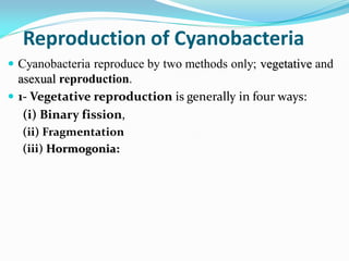 Reproduction of Cyanobacteria
 Cyanobacteria reproduce by two methods only; vegetative and
asexual reproduction.
 1- Vegetative reproduction is generally in four ways:
(i) Binary fission,
(ii) Fragmentation
(iii) Hormogonia:
 