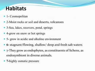 Habitats
 1- Cosmopolitan
 2-Moist rocks or soil and deserts, volcanoes
 3-Sea, lakes, recovers, pond, springs
 4-grow on snow or hot springs
 5- grow in acidic and alkaline environment
 6- stagnant/flowing, shallow/ deep and fresh salt waters
 7-They grow as endophytes, as constituents of lichens, as
endosymbiont in diverse animals.
 7-highly osmatic pressure
 